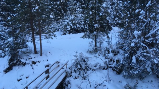 Chata pod Skorušinou Brezovica (okres Tvrdošín) 20