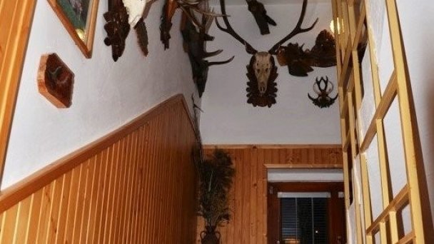 Privát Holubica a Rybka Habovka 40