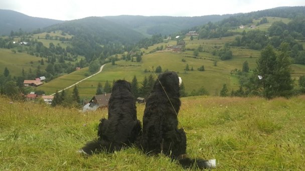 Chalupka pod Kozincom Zázrivá 81
