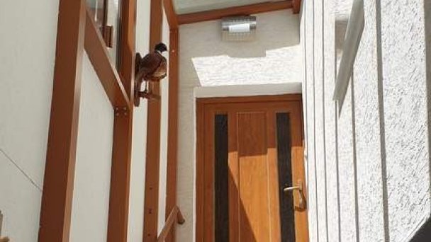 Apartmán Tatry Vysoké Tatry 13