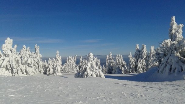 Chata Stred Kubínska hoľa - Dolný Kubín 46