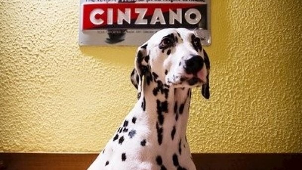 Penzión Pani B. Dolný Kubín 25 Penzión Pani B. Dolný Kubín 25