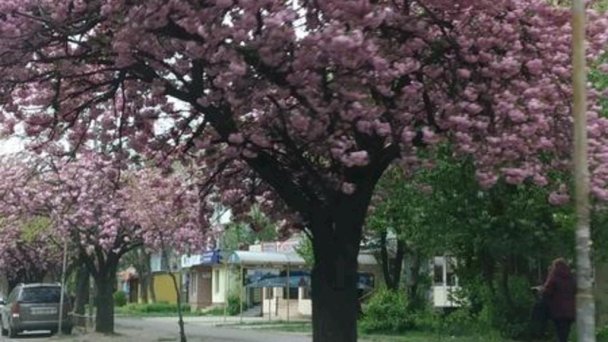 Hostel White Coral Košice - Barca 18