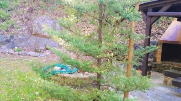 Chaty Eja a Ema Kaluža - Zemplínska Šírava 22 Chaty Eja a Ema Kaluža - Zemplínska Šírava 22