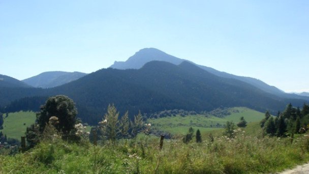 Drevenica Katka Pokryváč 9