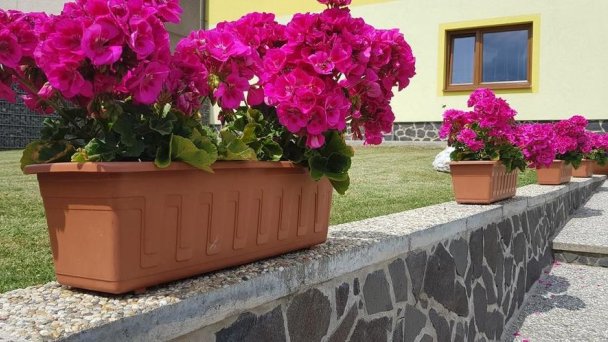 Apartmán Zatura Šuňava 14