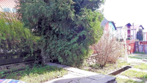 Apartmán Martino Nová Lesná 14
