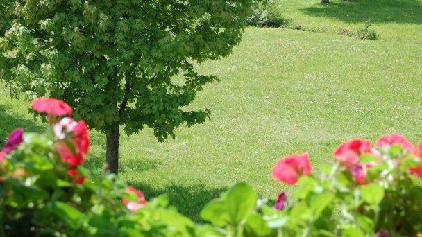 Penzión Belvia Nová Lesná 8 Penzión Belvia Nová Lesná 8