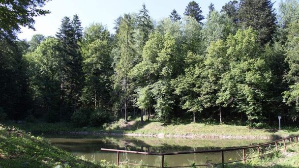 Penzión Alfréd Nová Ľubovňa 11