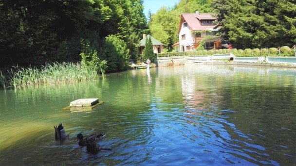 Chata pri jazierku Vyšná Voľa 25