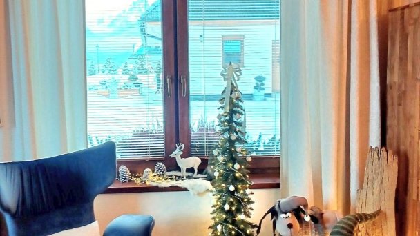 Villa Asanea Stará Lesná 24
