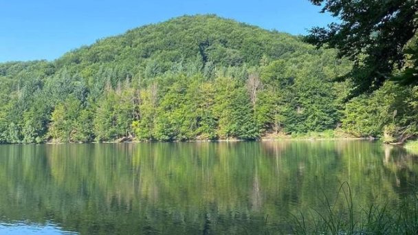 Chata Salamandra Remetské Hámre 15