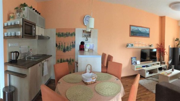 Apartmán Crocus 313 Vysoké Tatry 29