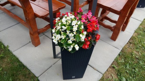 Apartmán u Paťka Zuberec 13