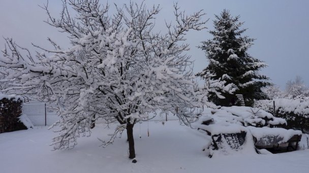 Drevenica u Štěchov Ľubeľa 37