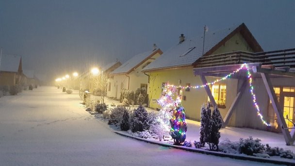 Villapark Vlašky Vlachy 31