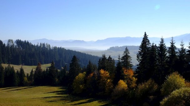 Drevenica Beniky Liptovské Beharovce 22