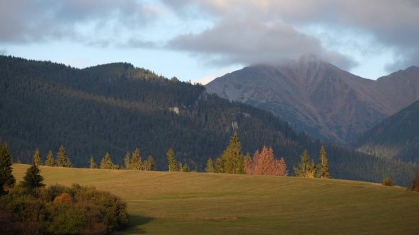 Drevenica Beniky Liptovské Beharovce 28