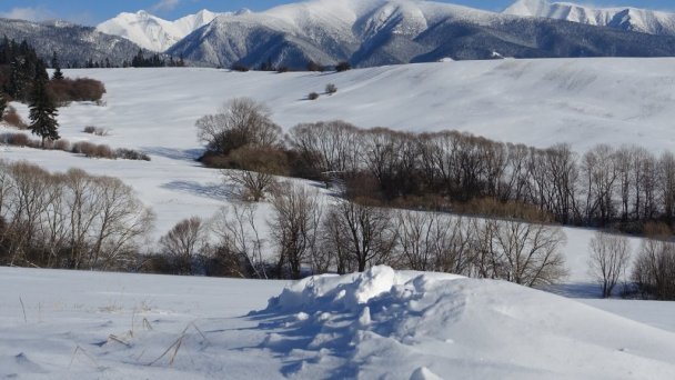 Drevenica Beniky Liptovské Beharovce 31