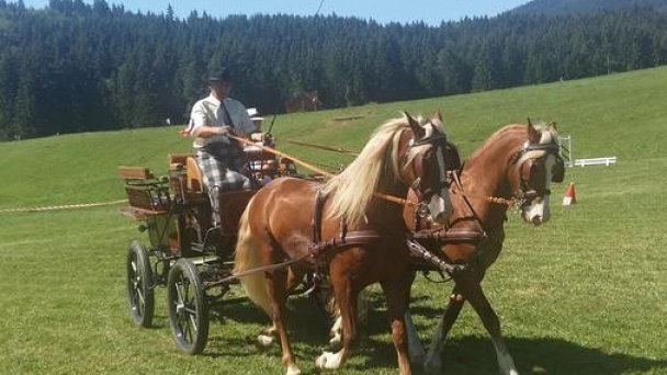Apartmány Danka Pavčina Lehota 8