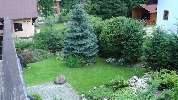Chata Dagmar Pavčina Lehota 9