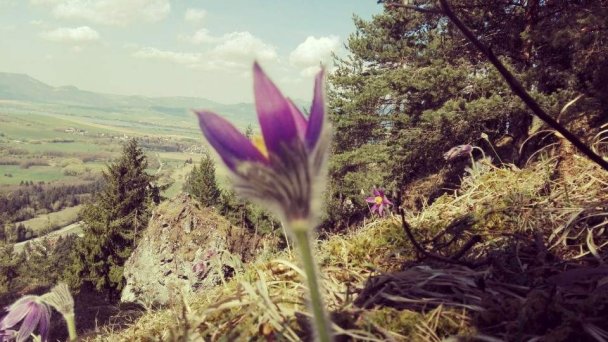 Chata Pod Pálenicou Pavčina Lehota 22