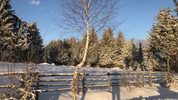 Ubytovanie pod Jedľou Detvianska Huta 42