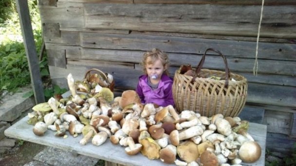Chata vo Vyšnej Boci 13 Chata vo Vyšnej Boci 13