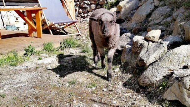 Drevenica HugLu Nižná Boca 16