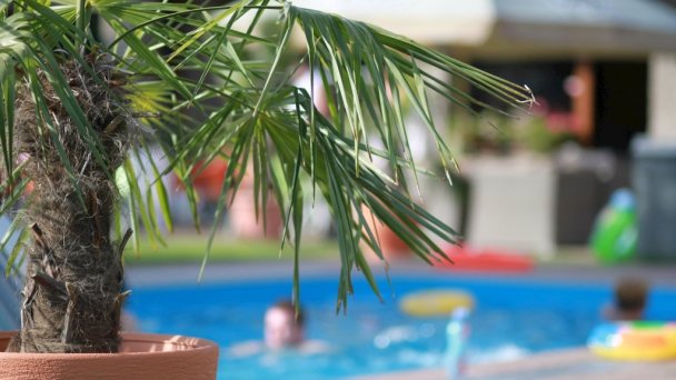Aqua & Wellness resort Alžbeta Liptovský Mikuláš - Demänová 56