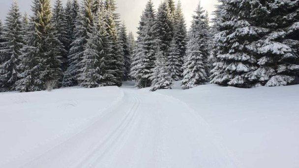 Apartmán B13 TATRAN Donovaly 21
