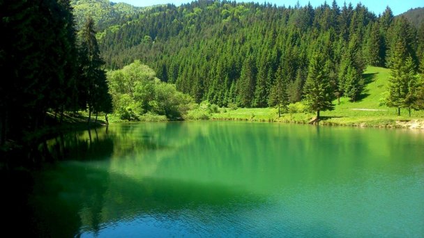 Chata u Sovičky Malinô Brdo Hrabovo - Ružomberok 79