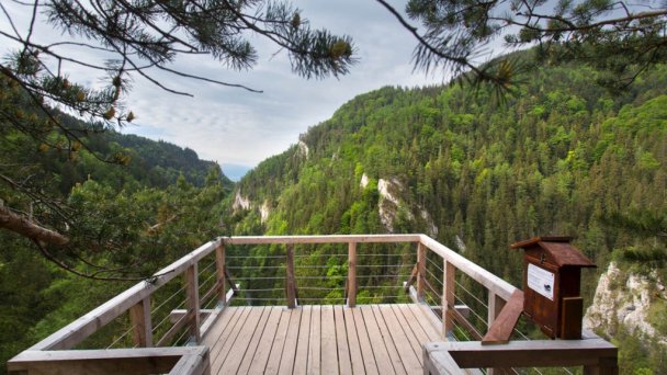 Apartmánový dom Adas Prosiek 31