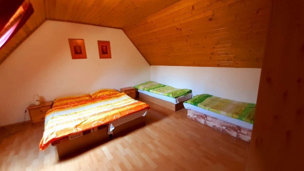 Vilka Cibulka Ižipovce 25
