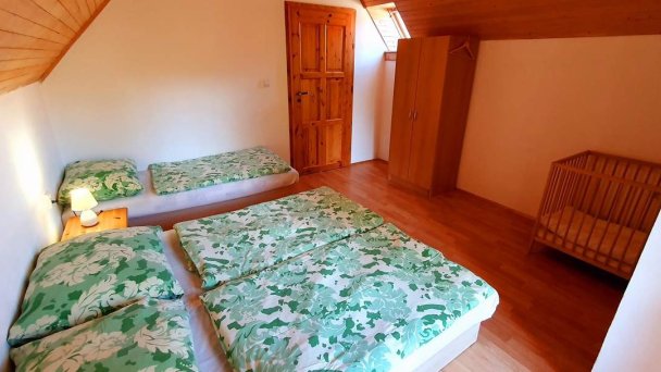 Vilka Cibulka Ižipovce 15