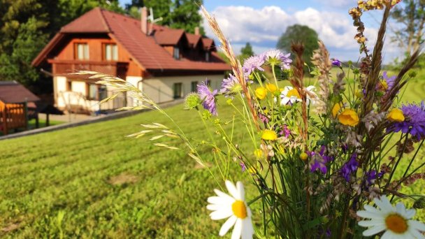 Apartmánový dom Dorota Ižipovce 31