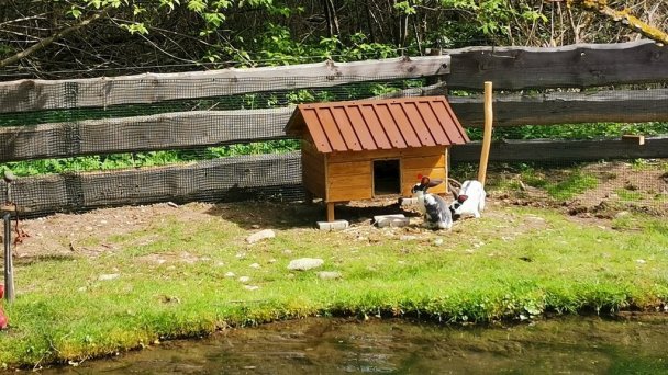 Chata Miško Liptovská Osada Ružomberok 7