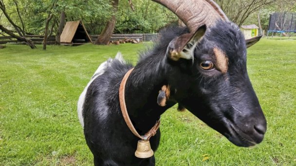 Chata Miško Liptovská Osada Ružomberok 24