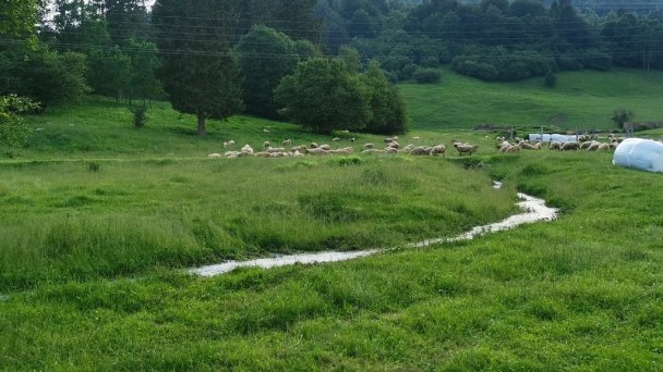 Chata Miško Liptovská Osada Ružomberok 30