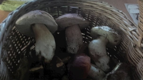 Chata pod Smrekom Vrútky 14