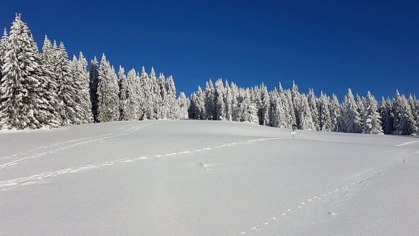 Zrub pod Poľanou Detvianska Huta 40