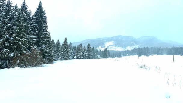 Chata v Bobroveckej doline Bobrovec 18 Chata v Bobroveckej doline Bobrovec 18