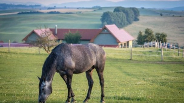 Apartmány Ranč Košťany nad Turcom 61 Apartmány Ranč Košťany nad Turcom 61