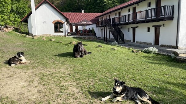 Ranč Colombia Podkylava 11