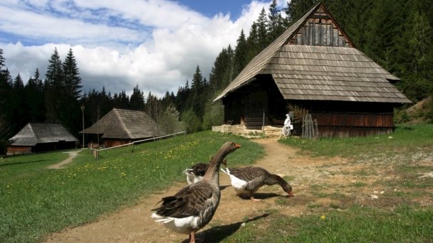 Chata Penzión Škerda  Zuberec 118