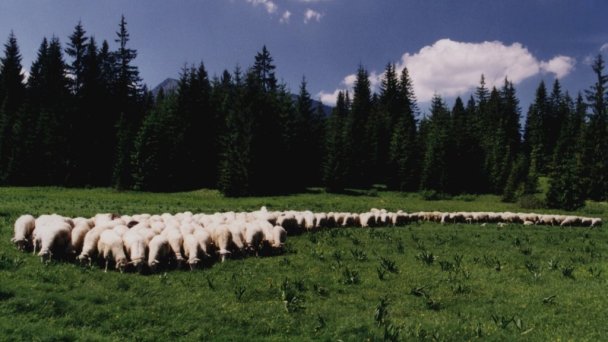 Chata Penzión Škerda  Zuberec 123