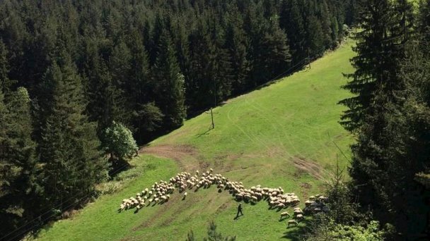 Norova chata Závažná Poruba 11