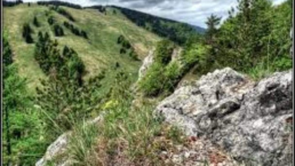 Chatka v lese Ružomberok 42