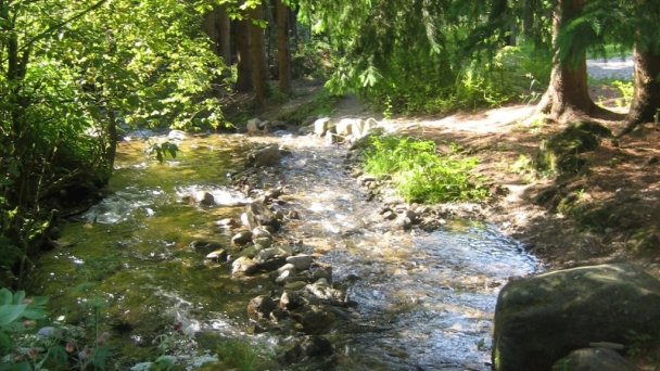 Chata pod Smrekovicou Ružomberok 43