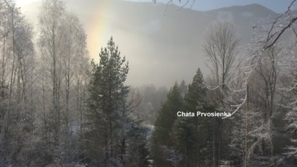 Chata Prvosienka Valča 21